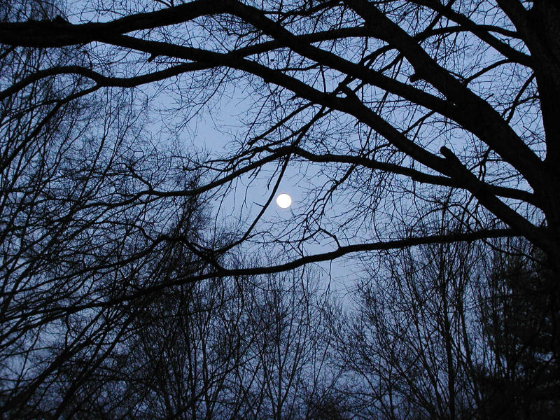 P1270262.JPG