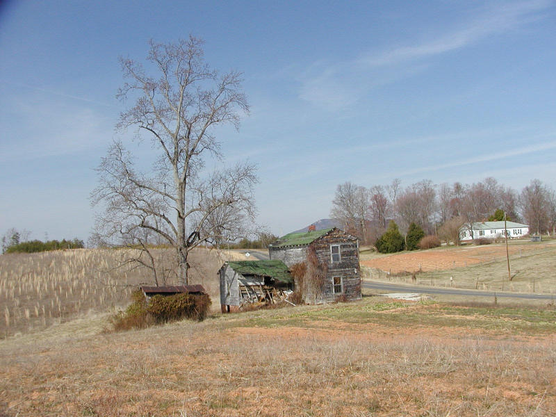 P3080029.JPG