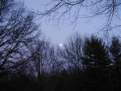 P1270268.JPG