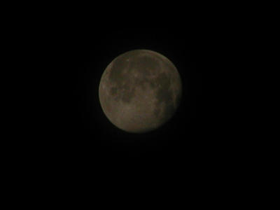 P1300009.JPG