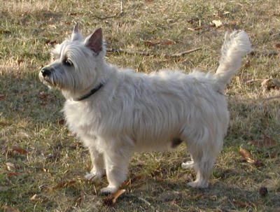 Newt (01-31-02)