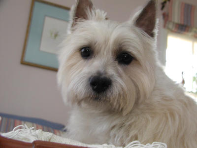 Newt (02-17-02)