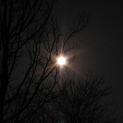 Starburst Moon.jpg