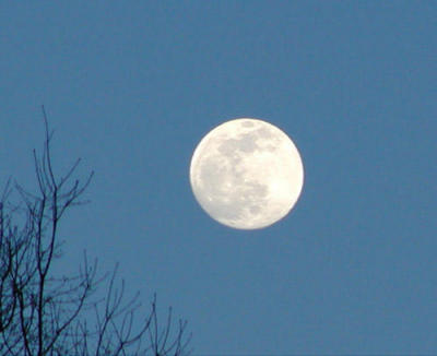 Day moon.jpg