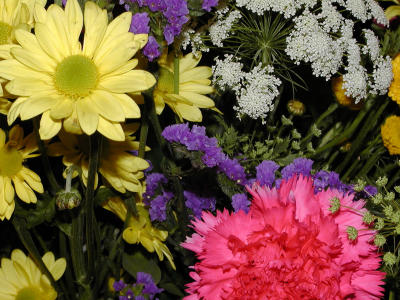 Spring Cut Flowers (close-up #1)