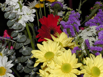 Spring Cut Flowers (close-up #2)