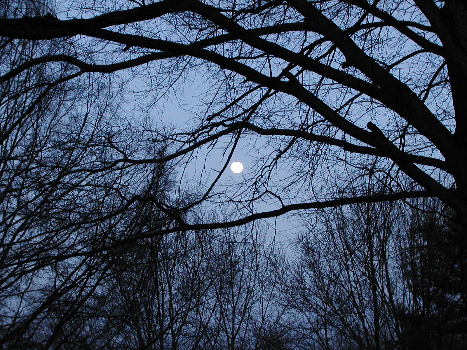 P1270262.JPG