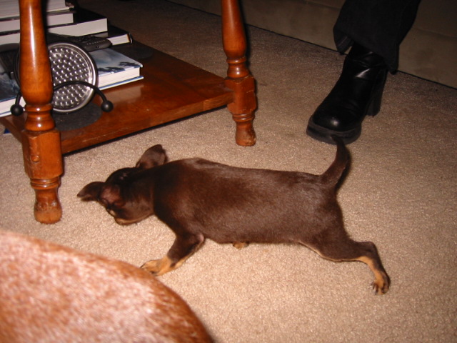 streeeeetch