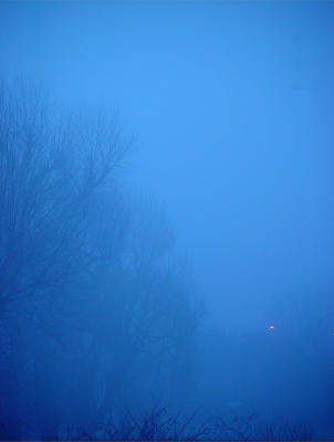 Night and Fog