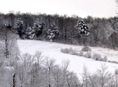 Late March Snow