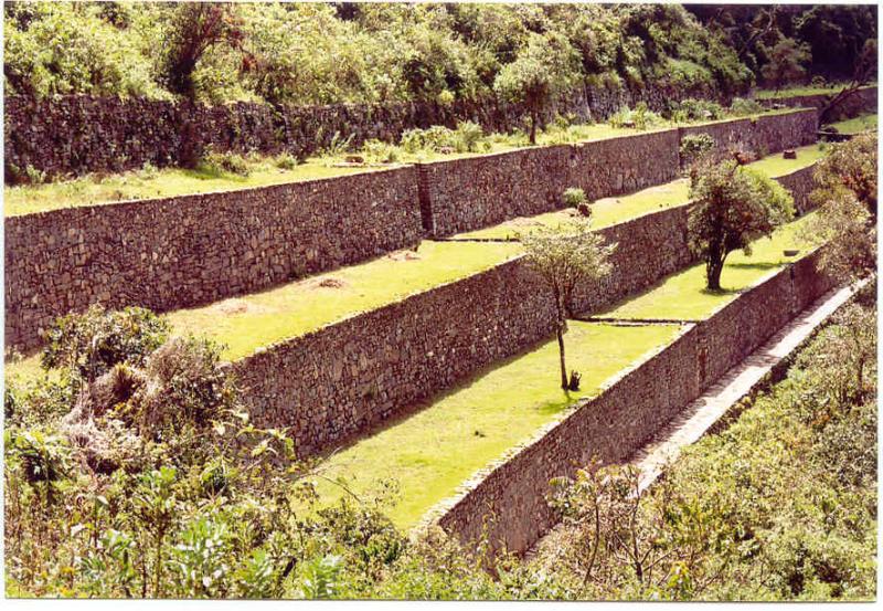 Choquequirao andenes