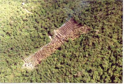 Choquequirao , ongoing excavation at Casa de Cascada