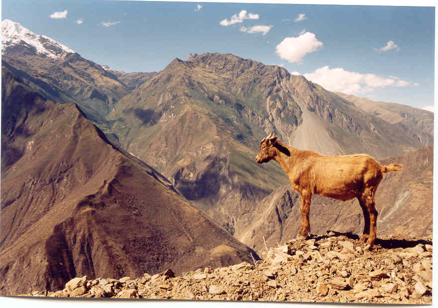 Landscape on the trail to Choquequirao