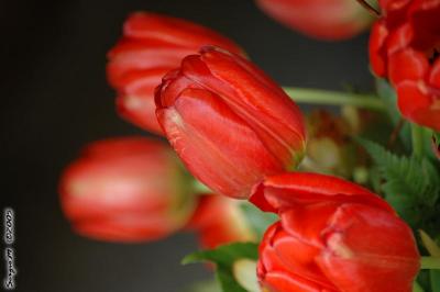 D70_DSC_0660.JPG