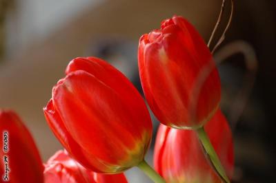 D70_DSC_0666.JPG