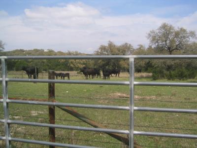 Carpers Creek Ranch