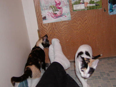 Betty & Veronica - Feb. 16, '02