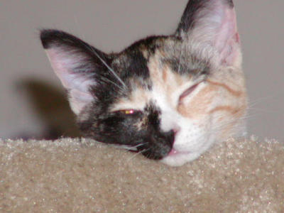 P1010124.JPG