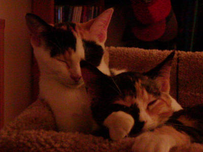 P1010126.JPG