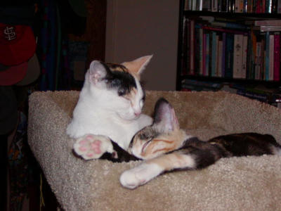 P1010131.JPG
