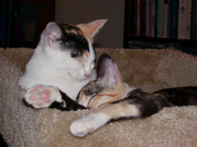 P1010132.JPG