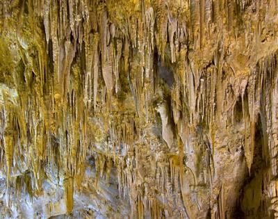Carlsbad Caverns5