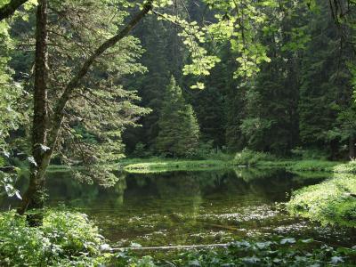 Lac de Pttoz (Hte Savoie)