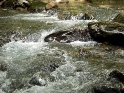 La Dranse de la Manche (Hte Savoie)