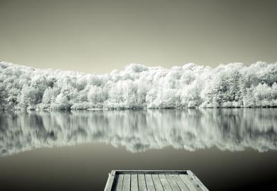 Dock and Trees IR