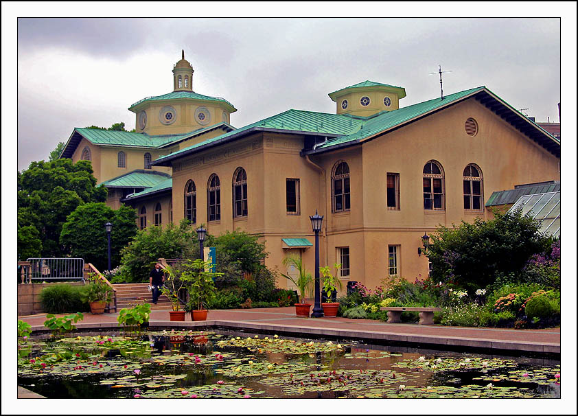 Overcast Day at the Brooklyn Botanic Gardens