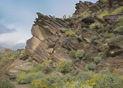 Palm Springs Hike