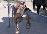 Saddle