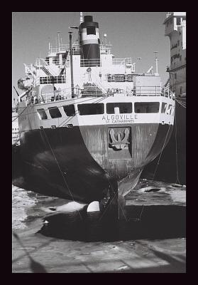 Image88bon.jpg