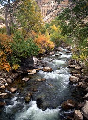 Big Horn Mountains, Wyoming