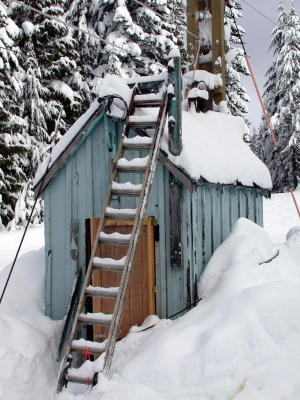 Shed-995.jpg