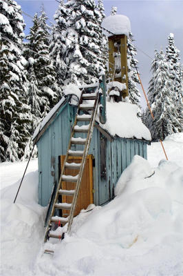 Shed-D30.jpg