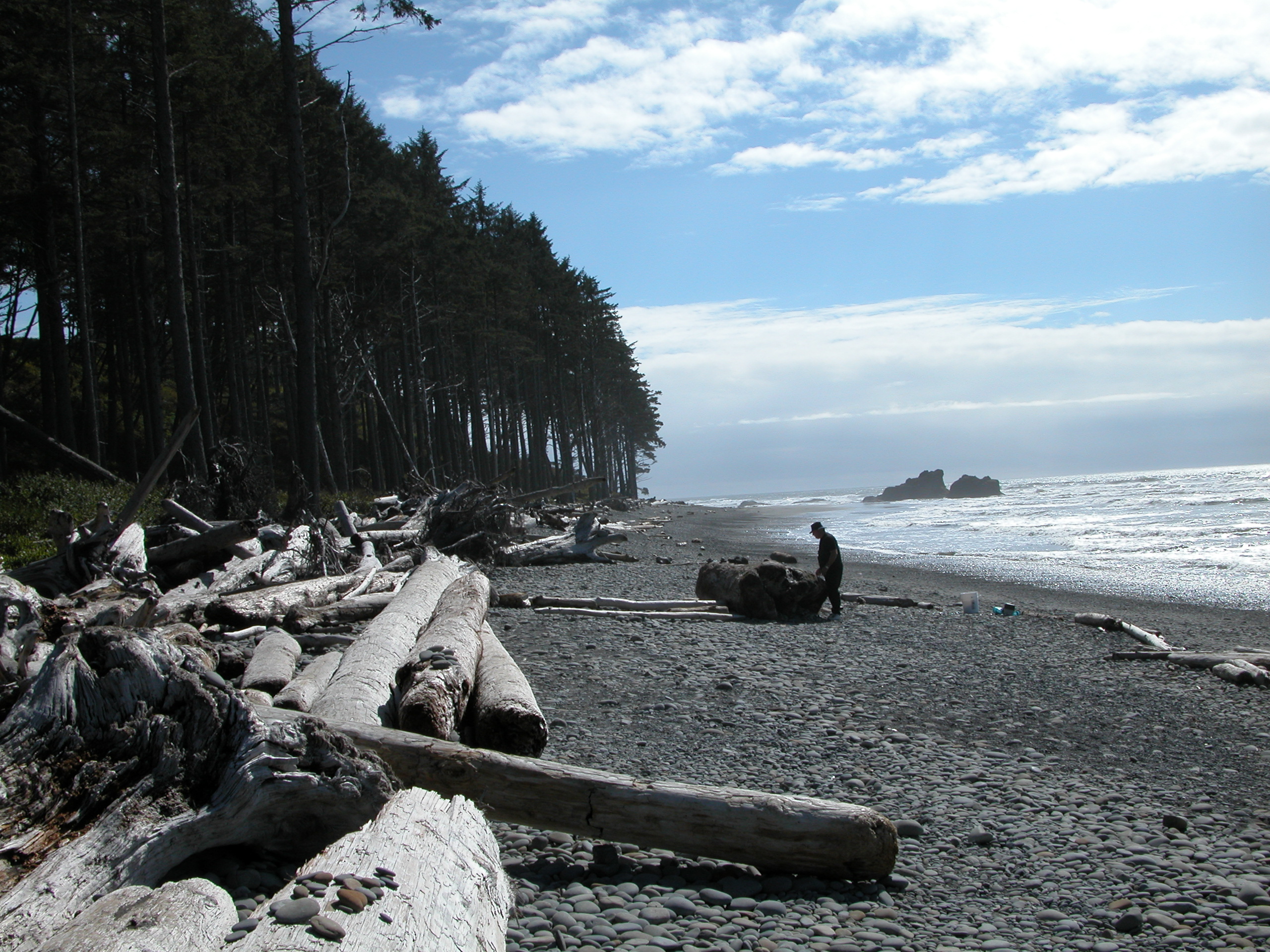 Pacific coast 2
