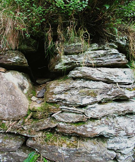  slabs of slate form  a path

 St. Kevins Monastery Grounds 
 Glendalough
 County Wicklow