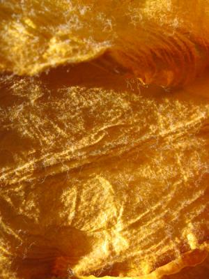 yellow-paper.jpg