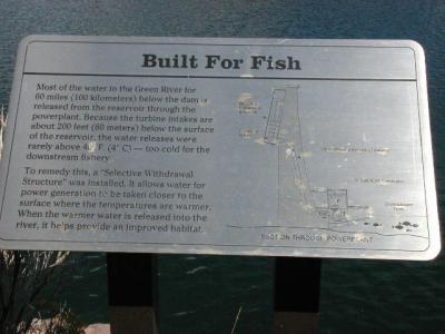 u7/mrtea630/medium/6545272.SignsatFlamingGorge9902.4.jpg
