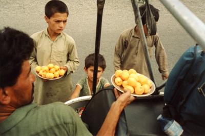 Selling Apricots