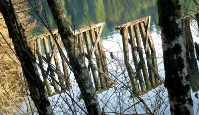 Logging Rail Bridge by Molly Johnston