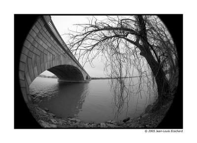 Curves by Jean-Louis Ecochard