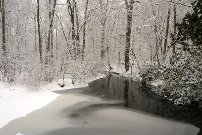 Ice Covered Pond in the Snow, I