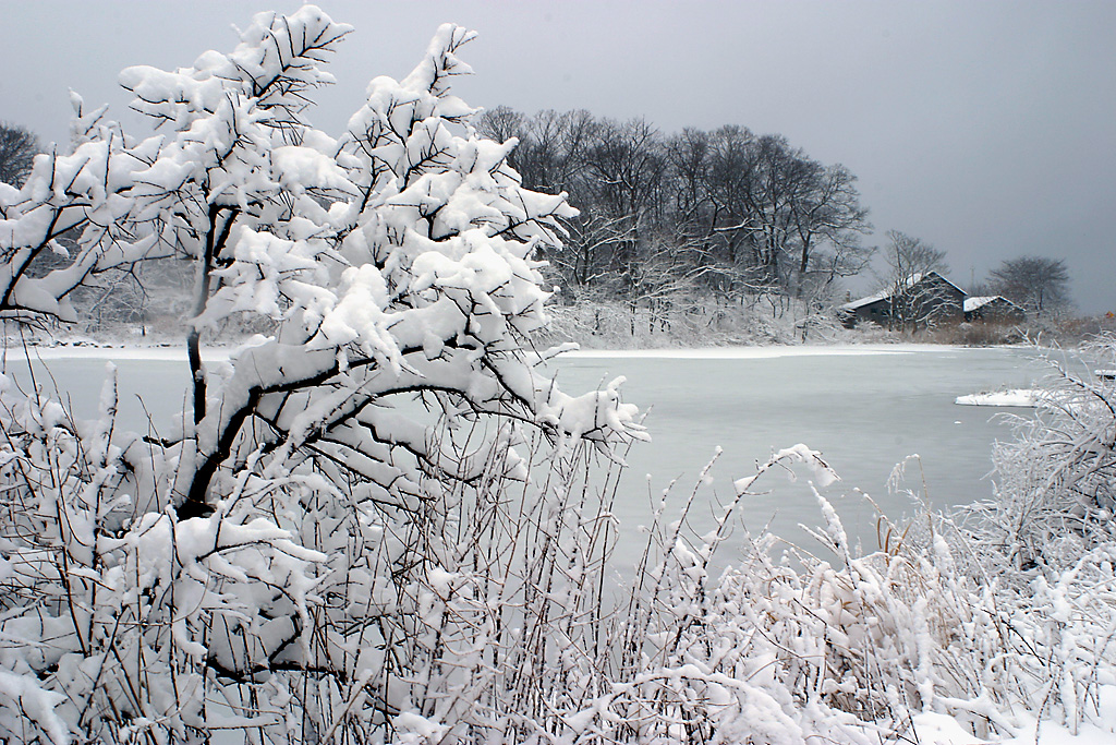 Frozen Pond