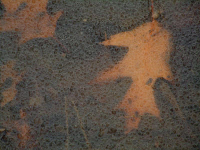 Dscf2965 copy.jpg