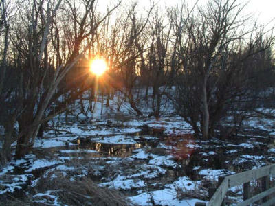 The Nature Center, Winter Walk