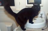 Turn on the water!