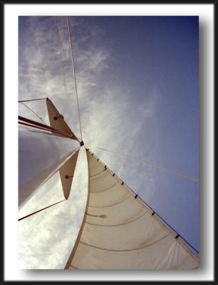 skyward sail