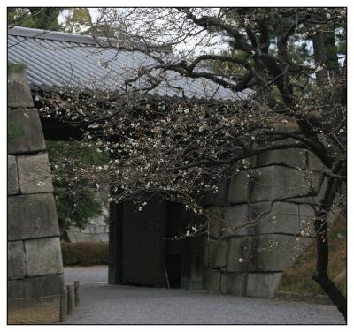 kyoto nijo castle gate